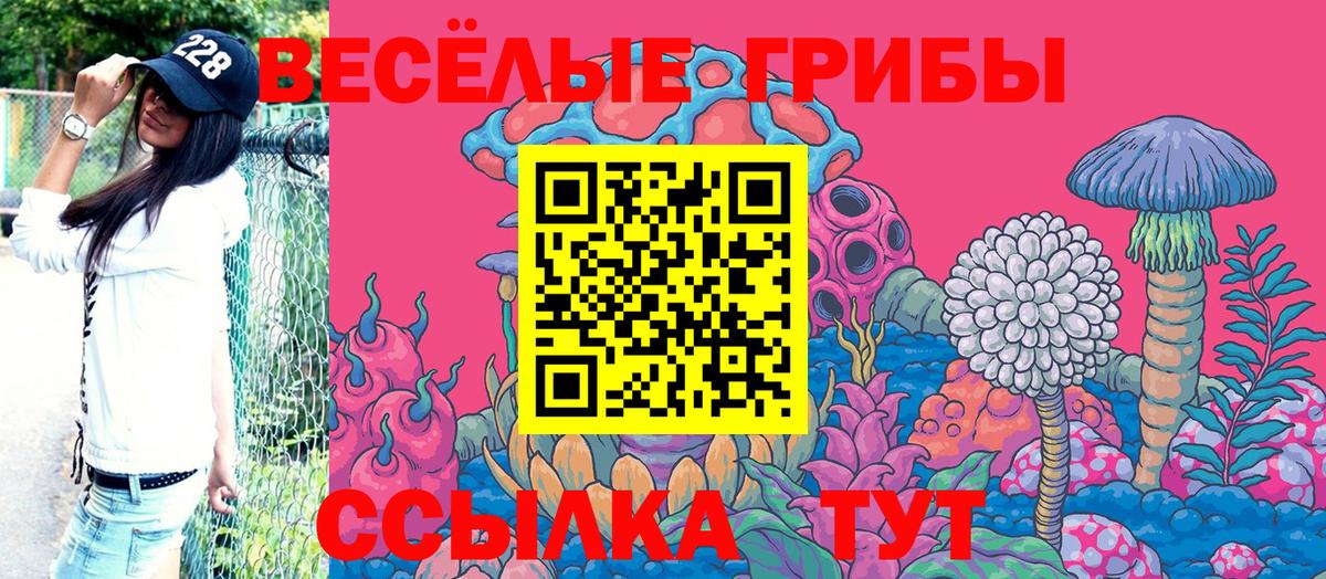 Псилоцибиновые грибы прущие грибы Подольск