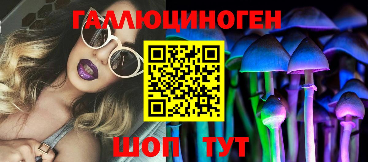 Подольск  Псилоцибиновые грибы Psilocybe  Вход с VPN 